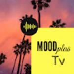 Abdel FOKOM Profile Picture