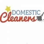 Domestic CLEANERS Profile Picture