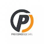 Pro CONSEILS SARL Profile Picture