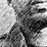 Serge SRG Profile Picture