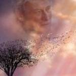 Olivier NICOLA Profile Picture