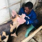 André Renaud BIKOE AYISSI Profile Picture