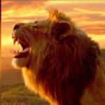 Gamal ABDEL Profile Picture