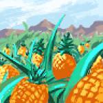 Belmondo Junior LIENOU Profile Picture