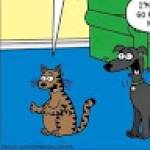 Subzeh CLINTON Profile Picture