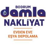 Damla NAKLIYAT Profile Picture