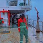 Hamed RAMADAN Profile Picture