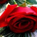 Jumbam GLORY Profile Picture