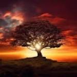 Camara DJEMILNAH Profile Picture