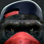 Bertrand KANKEU Profile Picture