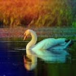 Devi PRIYA Profile Picture