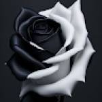 Muhammad FARHAN KHAN Profile Picture