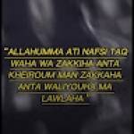 Hamadou Bachirou BOUBA VETGE Profile Picture