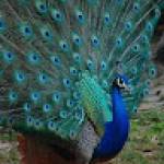 Aichatou MOUHAMAN KOURA Profile Picture