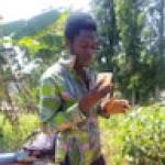 Josphson MAWO Profile Picture