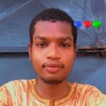 Hamadou OUSMANOU Profile Picture
