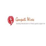 Ganpati WIRES Profile Picture