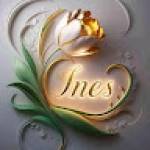 Larissa Inesse NOUMEN Profile Picture