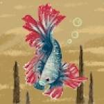 Lindel DANIEL Profile Picture