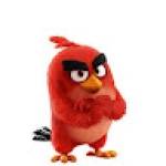 Red BIRD Profile Picture