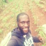 Herman Mani FOLASSIE TIA Profile Picture