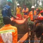 Franck Célestin MAPOKO Profile Picture