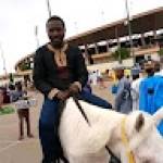 Jacques Junior LOUNG Profile Picture