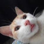 Corin MBIDA Profile Picture