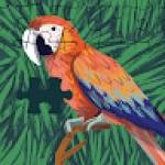 Keven EDIMO Profile Picture