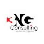 3ng Consulting Profile Picture
