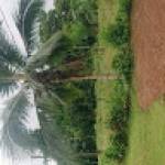 Rolland NGOUA NSIUNG Profile Picture
