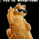 Herdal NANVOU Profile Picture