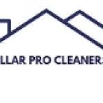 Stellar PRO CLEANERS Profile Picture