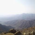 Mohamadou Awal MAMANE Profile Picture