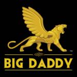 BDG Game Login Profile Picture