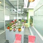 Cogravity COWORKING SPACE Profile Picture