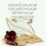 Said DARHAM Profile Picture