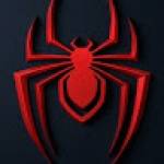 Spider ORG Profile Picture