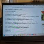 Patience YONKEU Profile Picture