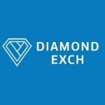 diamondexch Gamer Profile Picture