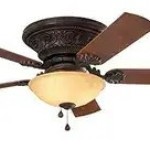 Remote FANS Profile Picture