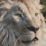 Hunter HARRY Profile Picture