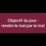 z gjkd Profile Picture