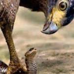 Babatoundé Hafissou AKPONNA Profile Picture