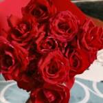 Alliance OSSAKAM MOUME Profile Picture