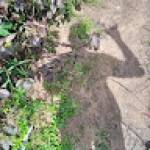 FASSEU SIEYONDJI Profile Picture