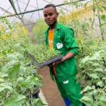 Lovette NGOH OBEN Profile Picture