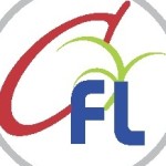 Anjali CFL Profile Picture