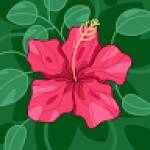 Sarah ALONE Profile Picture