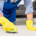 Rina WONG Profile Picture